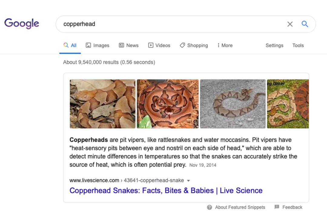 copperhead - featured snippets