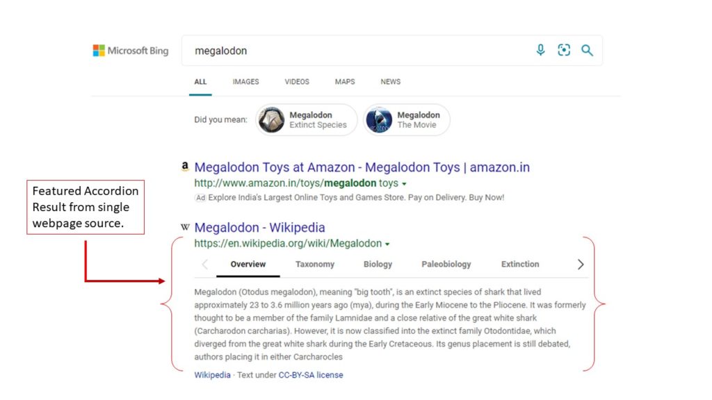 Bing's Featured Accordion Type result 