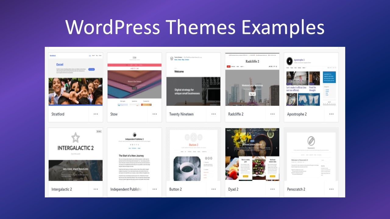Wordpress theme examples